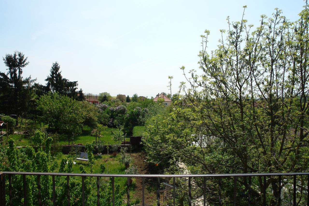 Valentina Apartmanhaz Apartment Bogacs Bagian luar foto